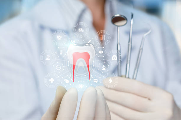 Reliable Lakewood, WA Holistic Dental Care Services Solutions